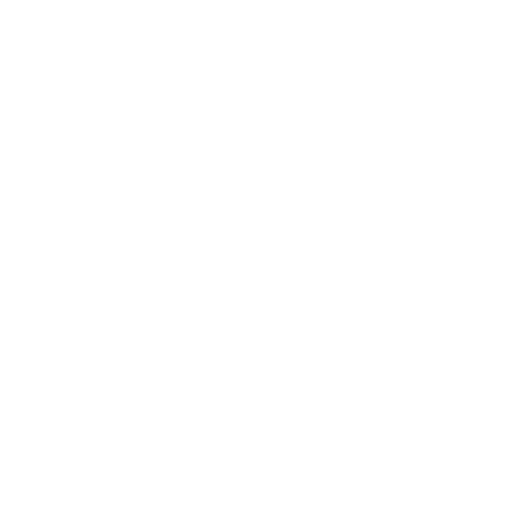 ZOOM LEARNING