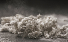 REINSW calls for Asbestos Act to protect consumers